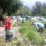 Library Maintenance Day May 2013