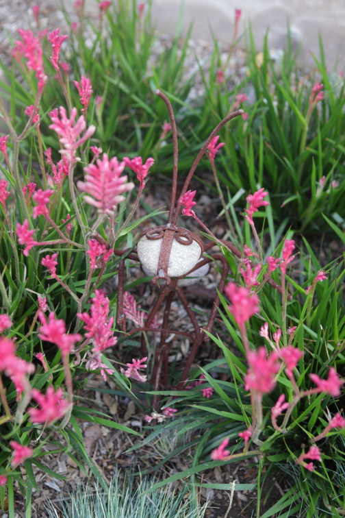 FormLA2016_Hamlin_Blooms_KangarooPaw