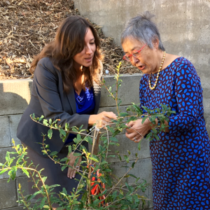 Senator Carol Liu Honored with Native Garden