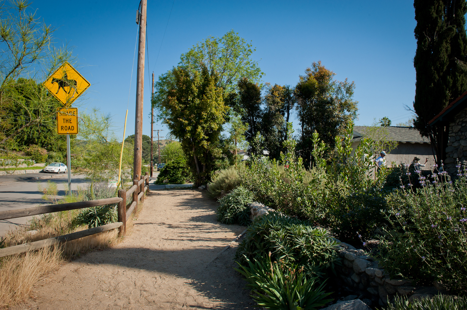 Equine Trail