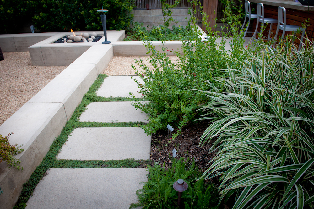 Concrete Pavers with Foliage Joints