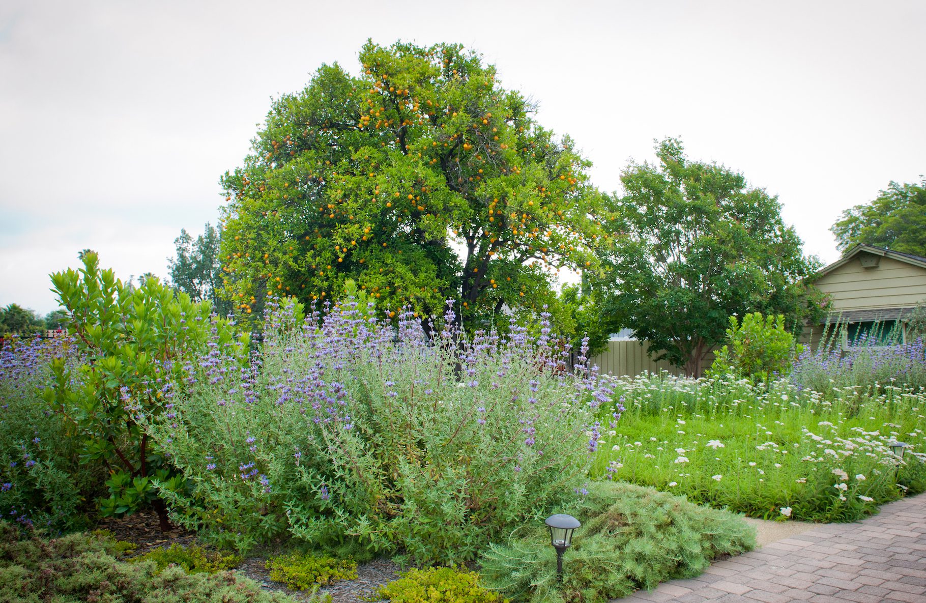 2018 Native Plant Garden Tour