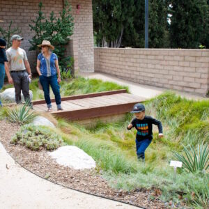 Three Kid Friendly Lawn Alternatives