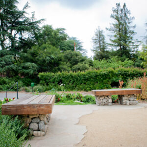 Descanso Showcases New Low Water Garden