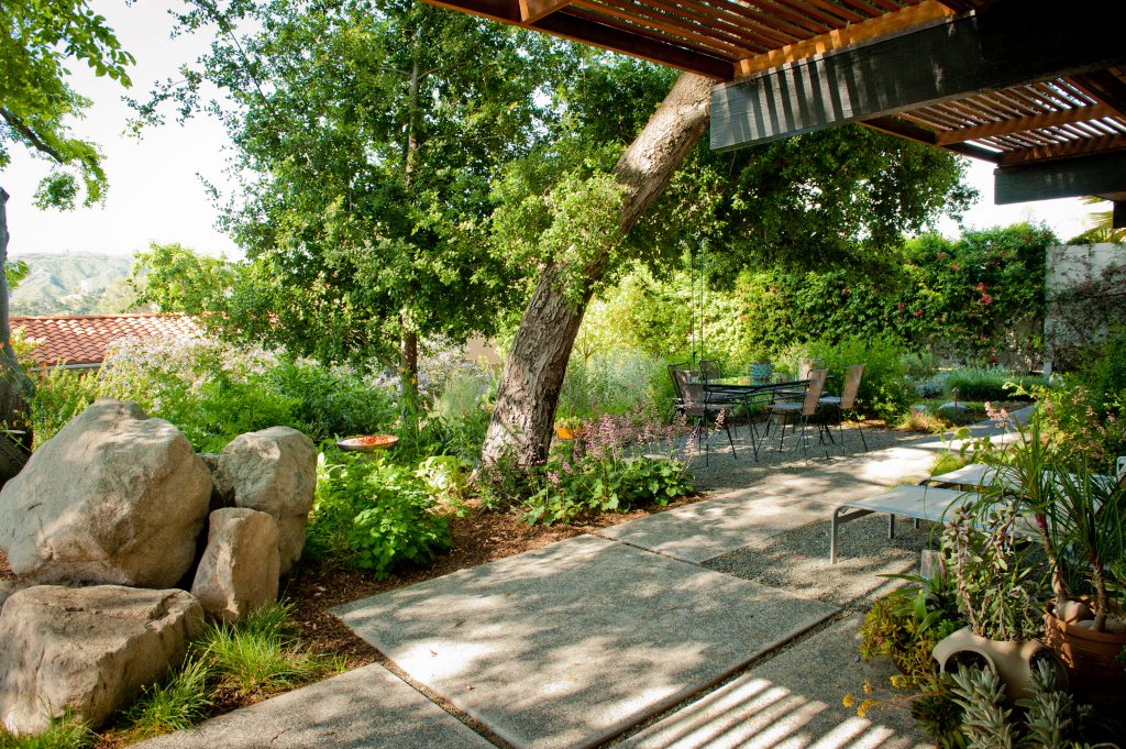 Large concrete slabs with gravel joints sit under an abundant tree canopy.