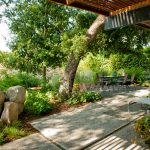 Large concrete slabs with gravel joints sit under an abundant tree canopy.