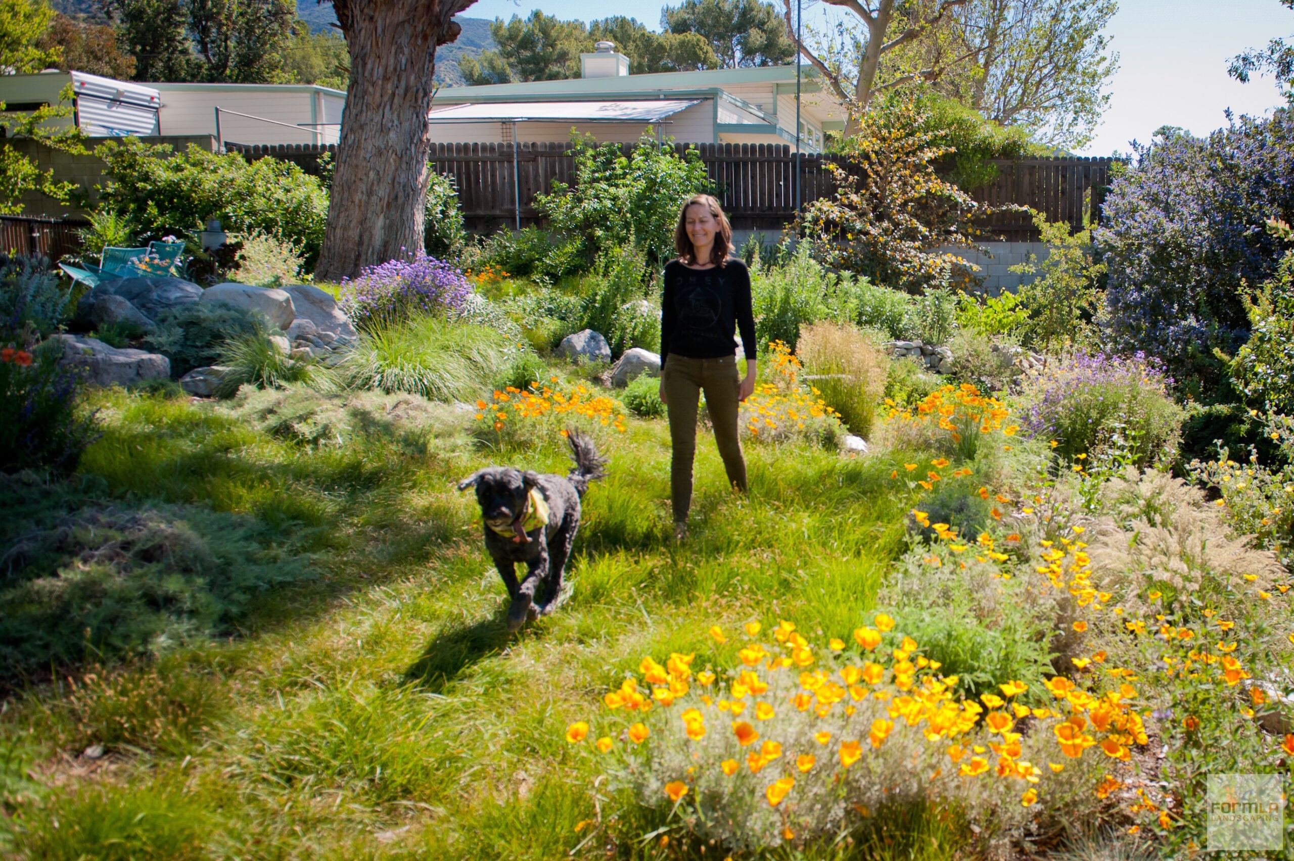 Goldn poppies and an abundance of vibrant color surround Cassy and pup Dara as they stroll through a lush meadow.