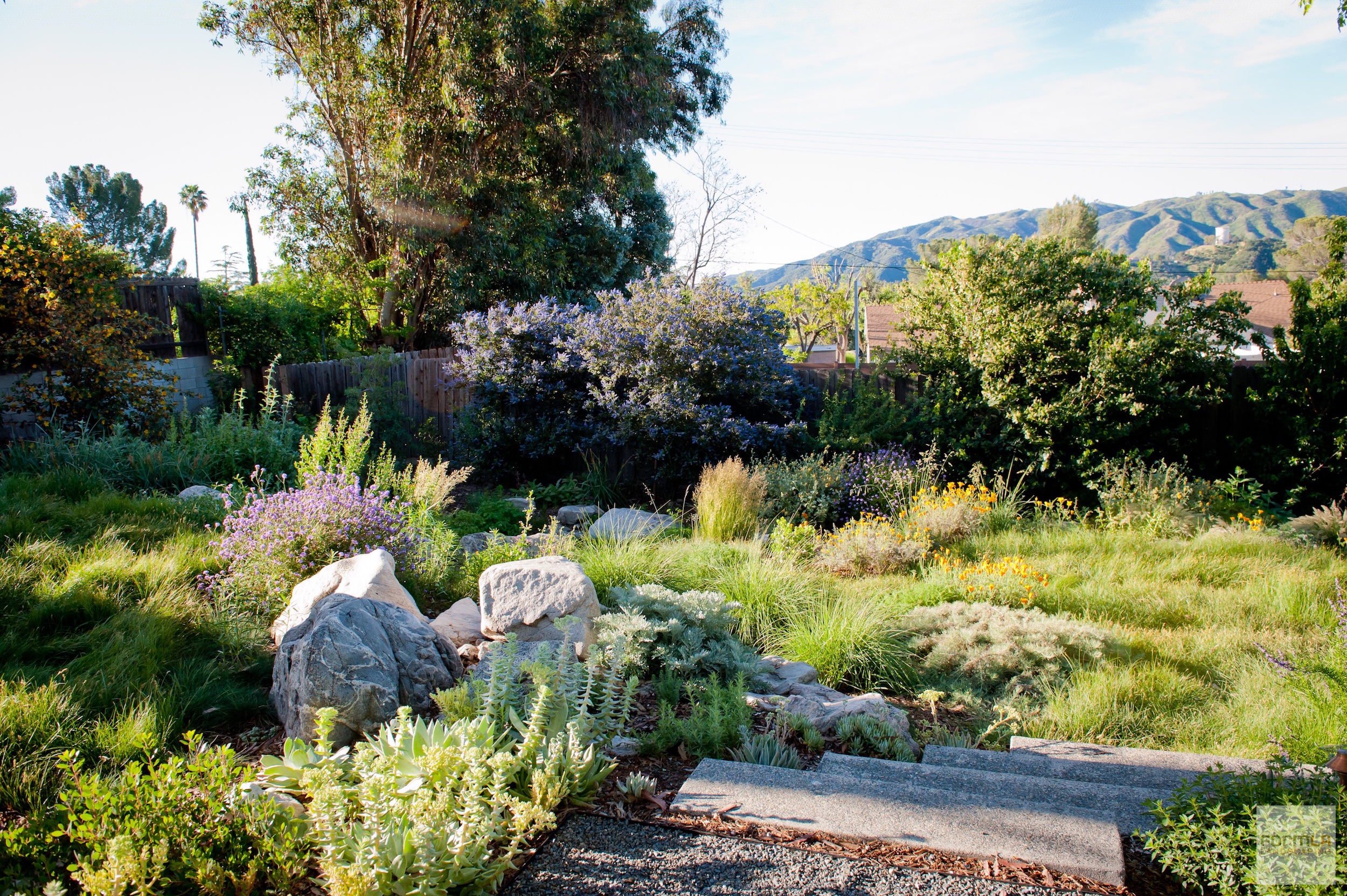 Large shrubs with yellow, blue and white blooms line the fence. A deeply shaded area in the top left contains a vernal pool.