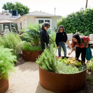 5 Fast-Growing Vegetables