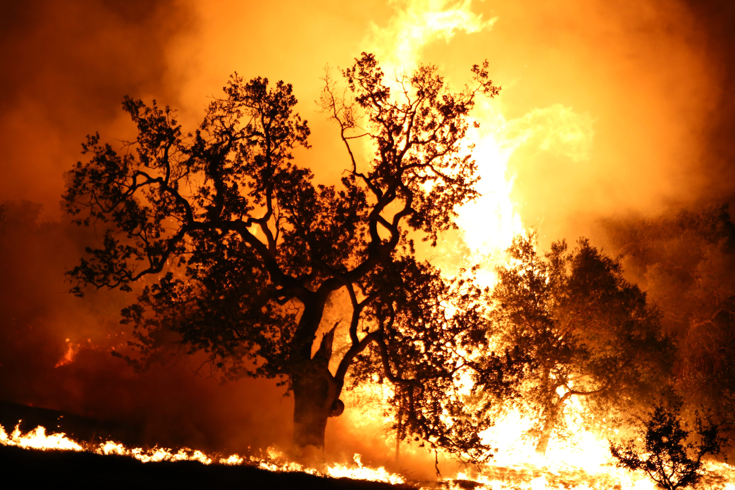 Thousand,Oaks,,California,/,Usa,November,8,2018,Woolsey,Fire,Burning